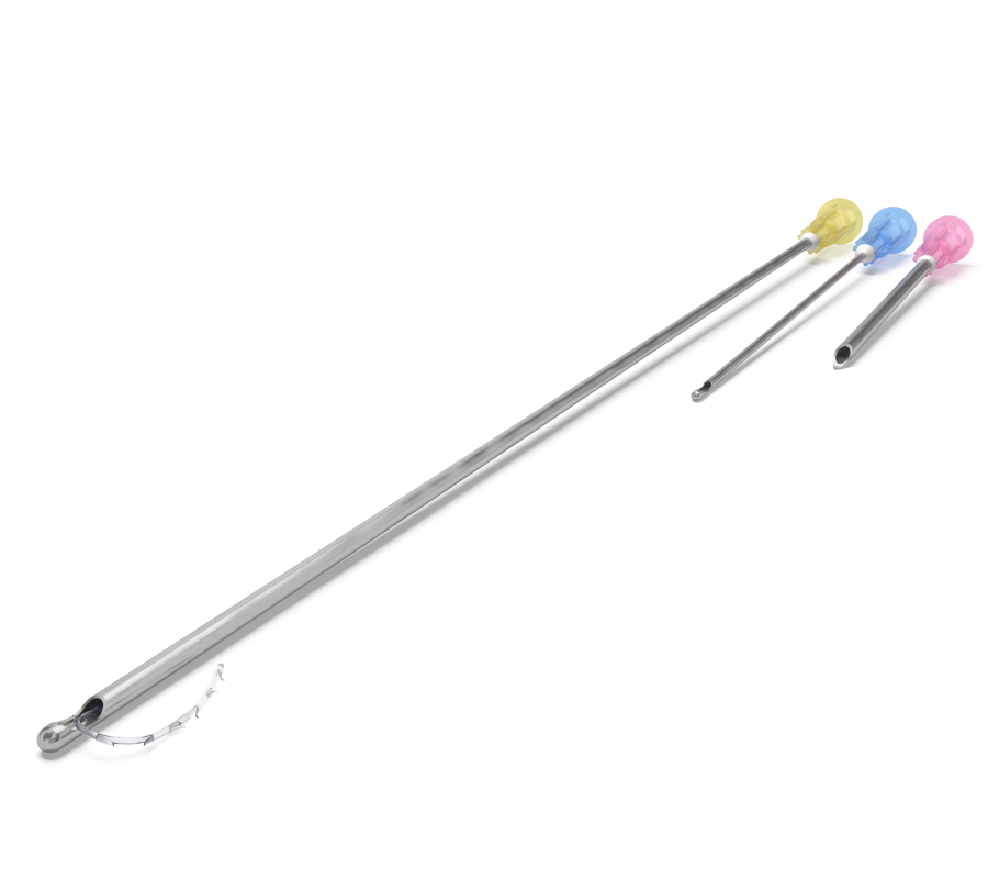 Excellence Visage (EV)